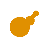 Proteinrechner